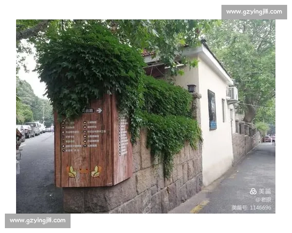 法斗滑板宽窄巷！成都萌宠又添新网红打卡地